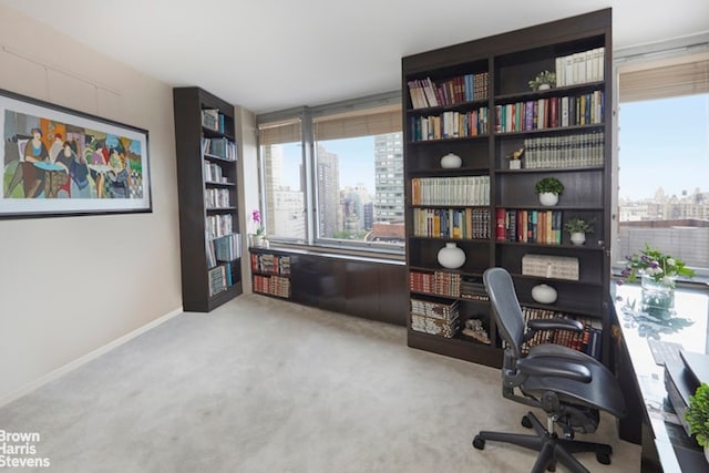 carpeted home office featuring a city view and baseboards
