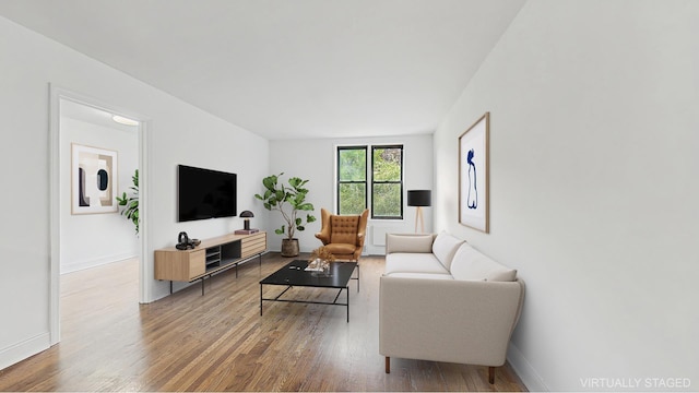 599 E 7th St Unit 2B, New York City, NY 11218 - living room featuring wood finished floors and baseboards