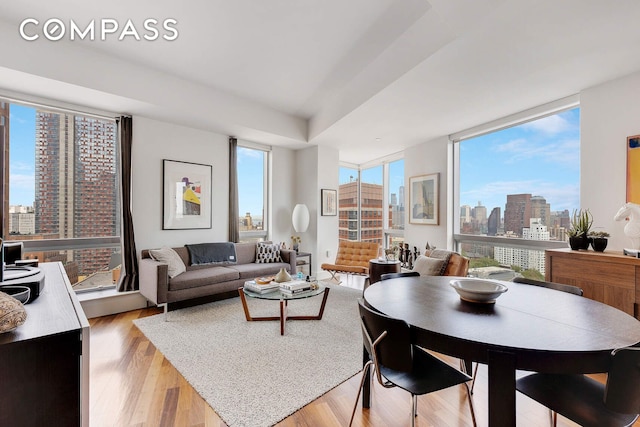 150 Myrtle Ave Unit 2503, New York City, NY 11201 - living area featuring a view of skyline and light wood finished floors