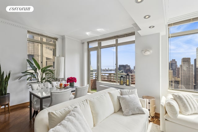 living room with a view of skyline, wood finished floors, baseboards, and recessed lighting