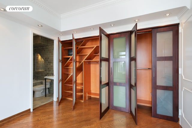 view of closet
