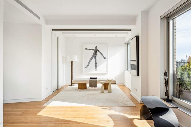 1 5th Ave Unit Ph18Ef, New York City, NY 10003 - corridor featuring plenty of natural light, light wood finished floors, and baseboards