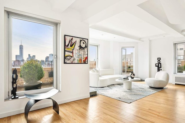 1 5th Ave Unit Ph18Ef, New York City, NY 10003 - living room featuring wood finished floors, baseboards, and radiator