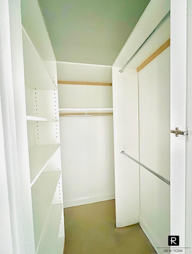 view of spacious closet