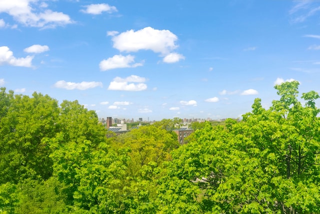 view of nature