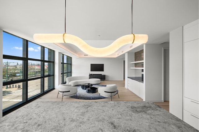 living area with expansive windows and light wood finished floors