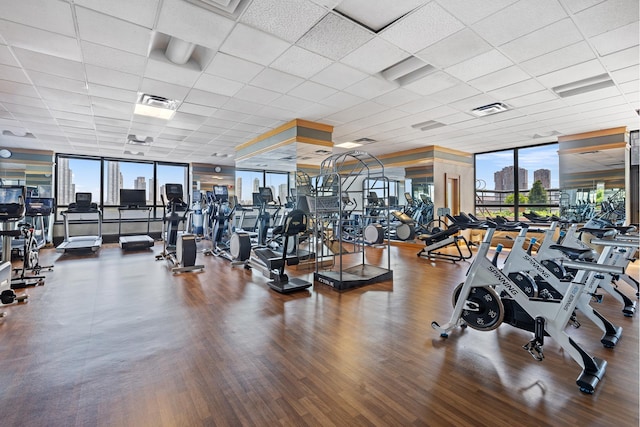 415 E 37th St Unit 31D, New York City, NY 10016 - gym with a wall of windows, wood finished floors, a drop ceiling, and a view of city
