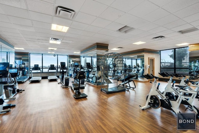 415 E 37th St Unit 31D, New York City, NY 10016 - gym featuring a wall of windows, plenty of natural light, wood finished floors, and a paneled ceiling