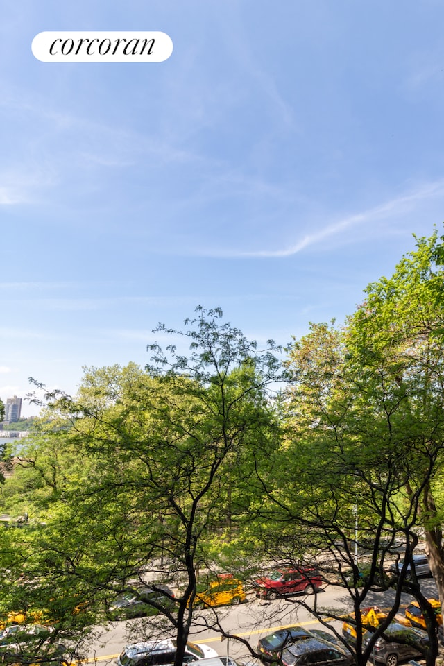 11 Riverside Dr Unit 4Kw, New York City, NY 10023 - view of undeveloped land