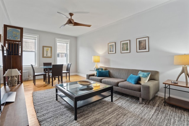 811 Walton Ave Unit F14, New York City, NY 10451 - living area featuring ceiling fan, wood finished floors, radiator, and baseboards