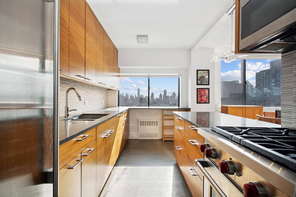 kitchen with radiator, stainless steel appliances, a sink, and a view of skyline