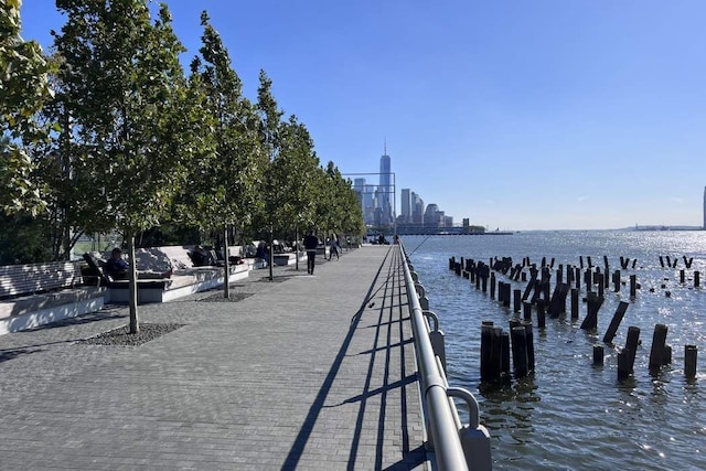 dock area featuring a water view