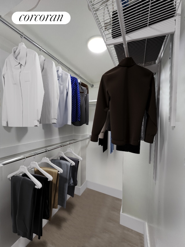 view of spacious closet