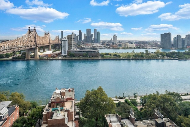 water view featuring a notable bridge and a view of skyline