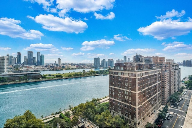 water view featuring a view of skyline