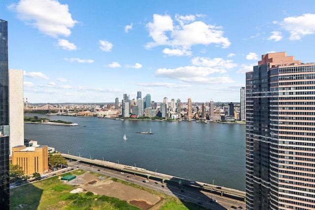 water view with a view of skyline