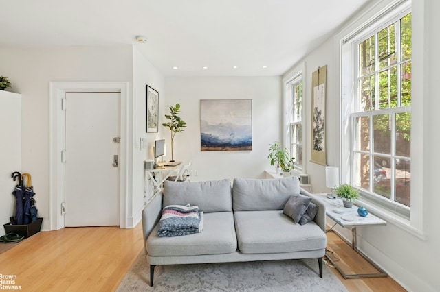 living area featuring wood finished floors and recessed lighting