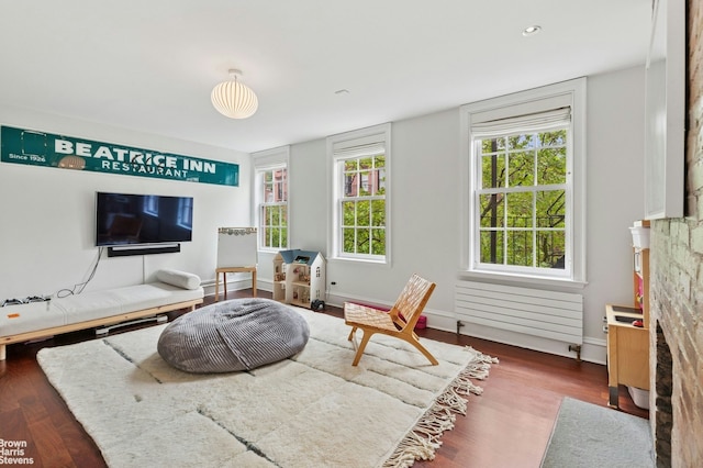 sitting room with wood finished floors, plenty of natural light, and baseboards