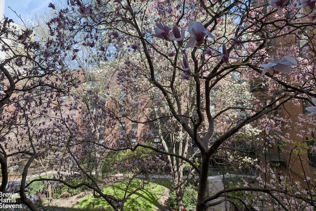 353 W 11th St Unit 2B, New York City, NY 10014 - view of undeveloped land