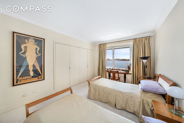 bedroom with a closet, carpet, and crown molding
