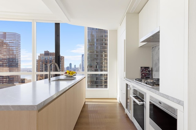 77 Greenwich St Unit 24-A, New York City, NY 10006 - kitchen with appliances with stainless steel finishes, a sink, dark wood-style floors, under cabinet range hood, and modern cabinets