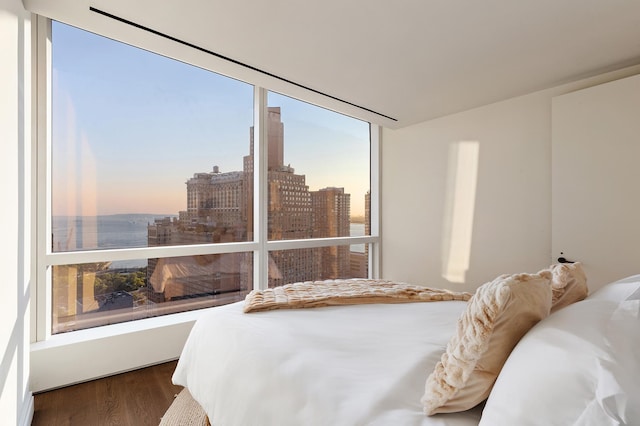 77 Greenwich St Unit 24-A, New York City, NY 10006 - bedroom with dark wood finished floors, a view of city, and a wall of windows