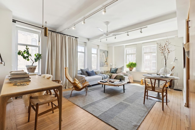 living area with rail lighting, a ceiling fan, and light wood-style floors
