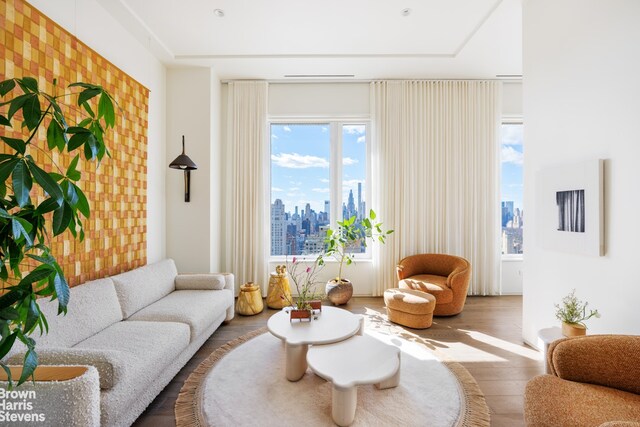 living area featuring wood finished floors and a view of skyline