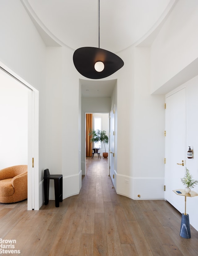 hall featuring light wood finished floors