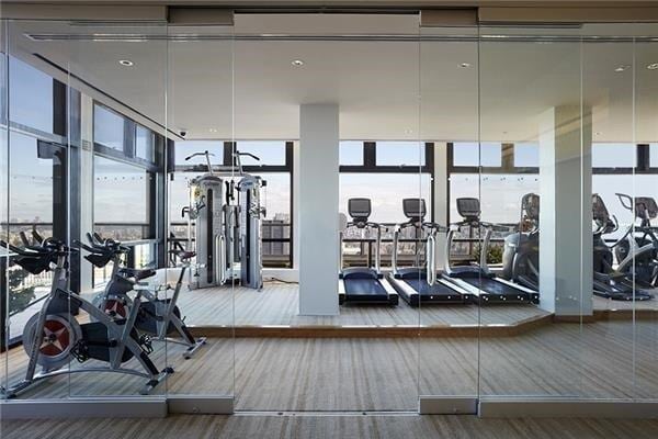 workout area with floor to ceiling windows and carpet flooring