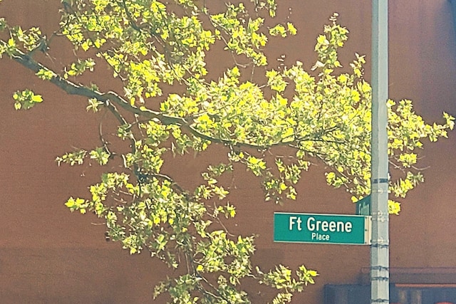 62 Fort Greene Place, New York City, NY 11217 - exterior view