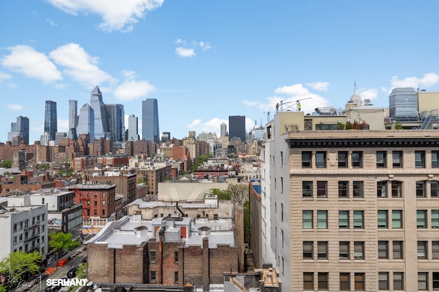 270 W 17th St Unit 12Bc, New York City, NY 10011 - view of city skyline