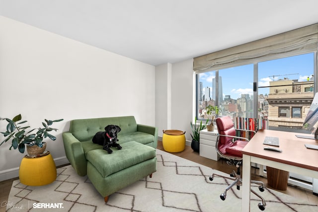 270 W 17th St Unit 12Bc, New York City, NY 10011 - office space featuring wood finished floors, a skyline view, and baseboards
