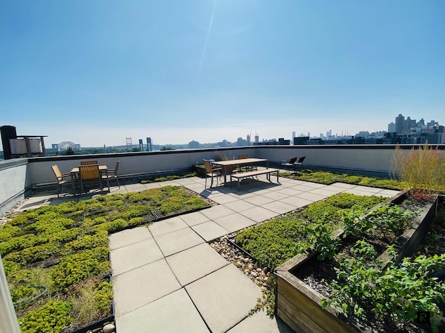 353 E 104th St Unit 6-A, New York City, NY 10029 - view of patio / terrace with a view of skyline and a vegetable garden