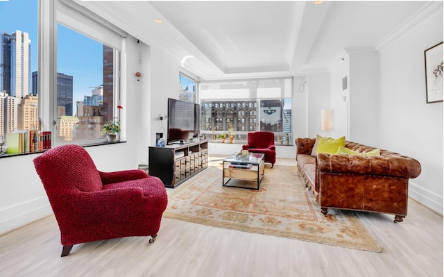 10 Little W St Unit 35-C, New York City, NY 10004 - living area with wood finished floors, ornamental molding, and a tray ceiling