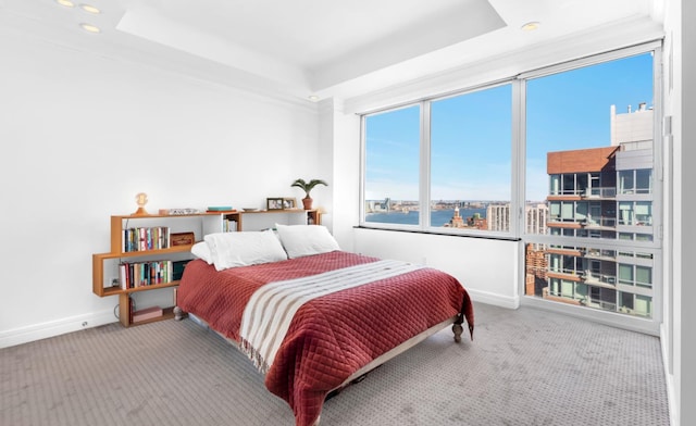 10 Little W St Unit 35-C, New York City, NY 10004 - carpeted bedroom with a tray ceiling, baseboards, and recessed lighting