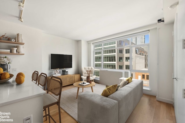 189 Schermerhorn St Unit 21H, New York City, NY 11201 - living room with light wood-type flooring