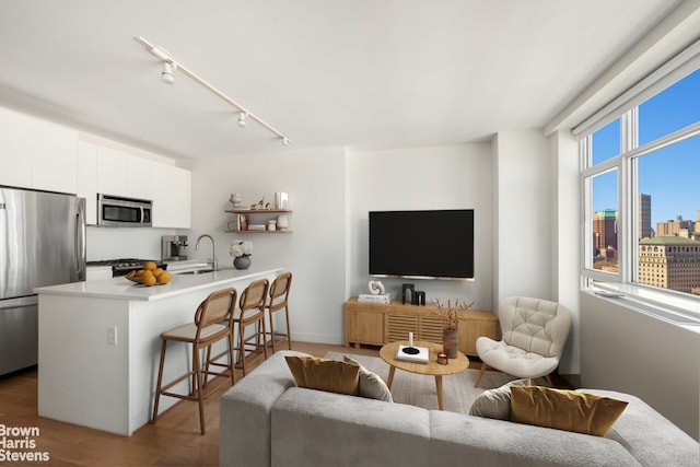 189 Schermerhorn St Unit 21H, New York City, NY 11201 - living room with track lighting and wood finished floors