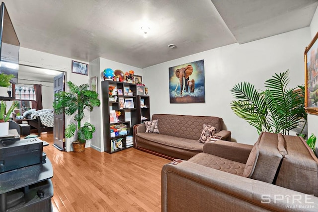 13 Suydam Place, New York City, NY 11233 - living room with light wood-style floors
