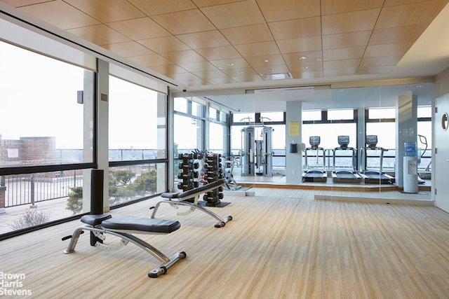 gym with floor to ceiling windows and carpet