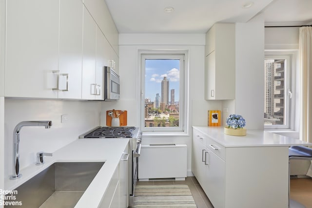 kitchen featuring a sink, stainless steel appliances, a peninsula, light countertops, and white cabinetry