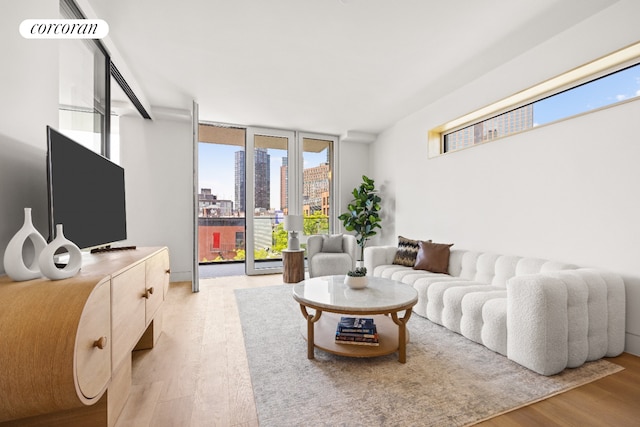 1110 Manhattan Ave Unit 2, New York City, NY 11222 - living area featuring light wood finished floors and plenty of natural light