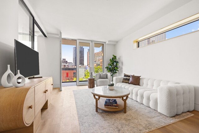living room featuring light wood-style floors