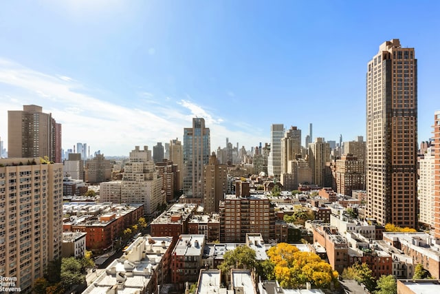 444 E 86th St Unit 27E, New York City, NY 10028 - view of city skyline