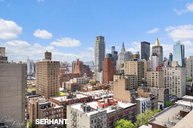 250 E 30th St Unit 8D, New York City, NY 10016 - skyline view
