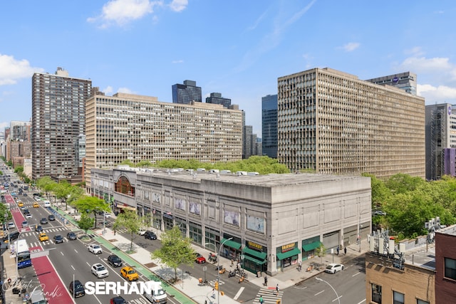 250 E 30th St Unit 8D, New York City, NY 10016 - view of city skyline