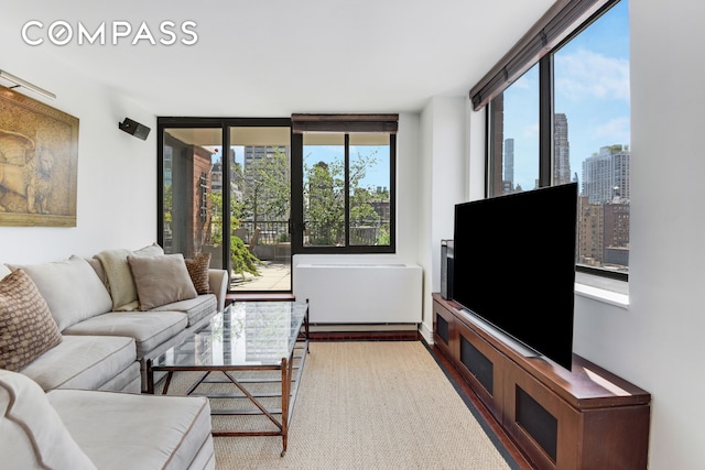 343 E 74th St Unit 15D, New York City, NY 10021 - view of living room