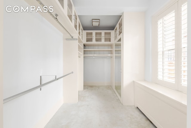 40 E 66th St Unit 12B, New York City, NY 10065 - spacious closet with light carpet