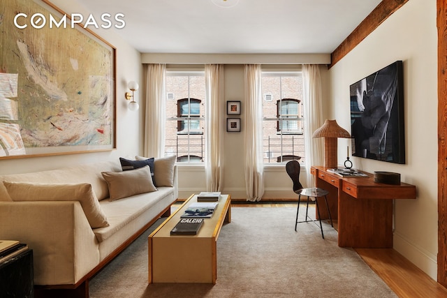 living area featuring plenty of natural light, wood finished floors, and baseboards