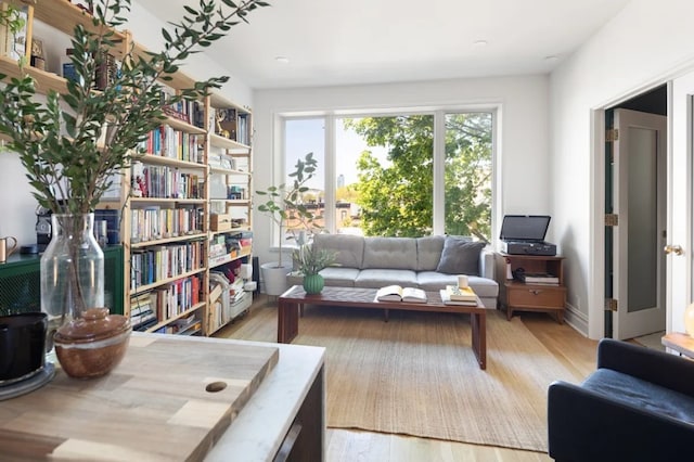 living area with wood finished floors